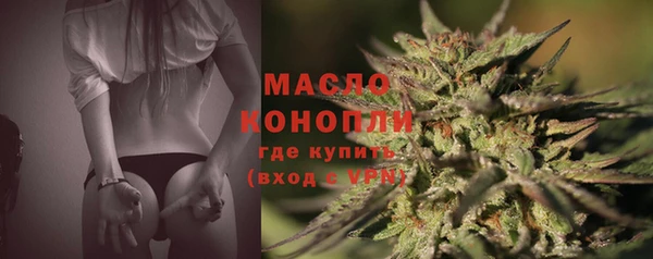 гидропоника Елабуга