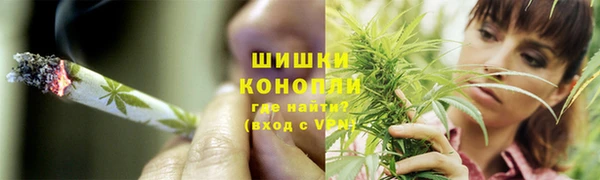 гидропоника Елабуга