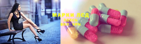 гидропоника Елабуга