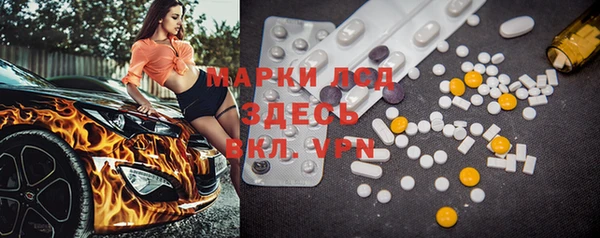 гидропоника Елабуга