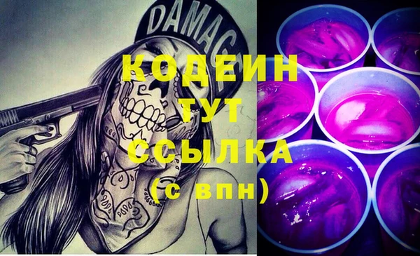 гидропоника Елабуга