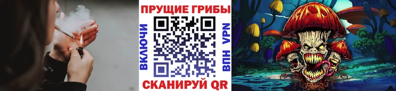 Купить где  Заринск  Псилоцибиновые грибы мицелий 